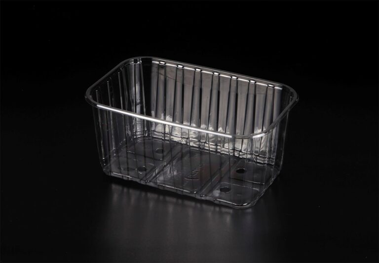 Caserola fructe 750g fara capac (L-027)